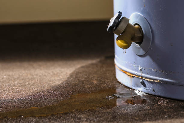 Best Ceiling water damage repair  in Teays Valley, WV