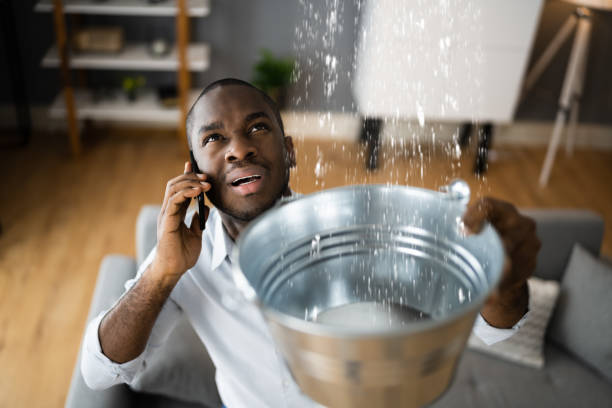Best Carpet water damage restoration  in Teays Valley, WV
