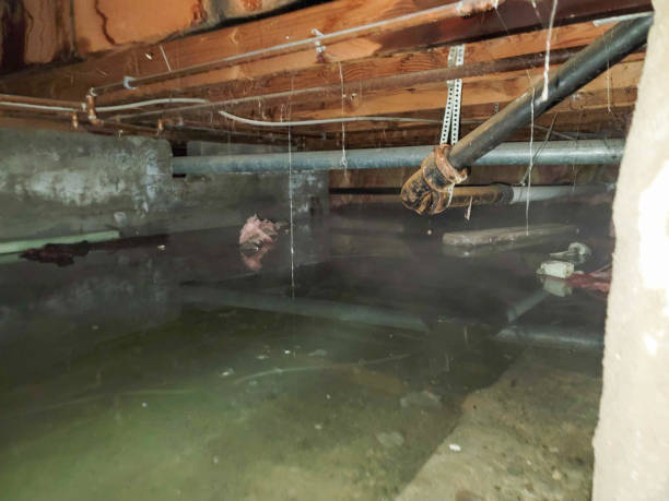 Best Flooded house restoration  in Teays Valley, WV