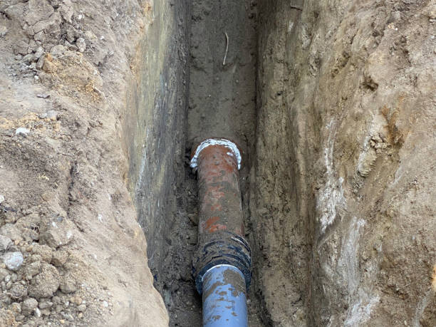 Best Flood damage cleanup  in Teays Valley, WV