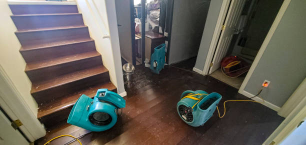 Best Commercial water damage restoration  in Teays Valley, WV