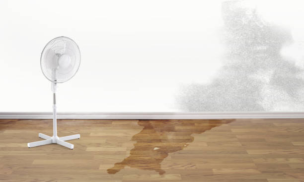 Best Residential water damage restoration  in Teays Valley, WV