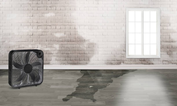 Fire Damage Restoration in WV