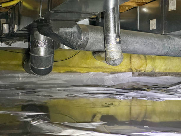 Best Basement water damage restoration  in Teays Valley, WV