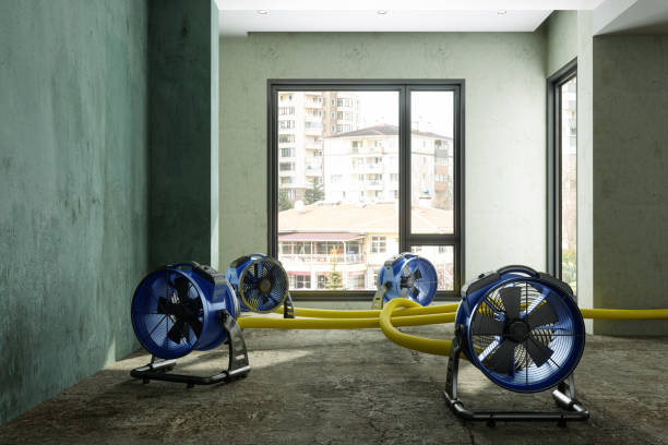 Best Water damage contractors near me  in Teays Valley, WV